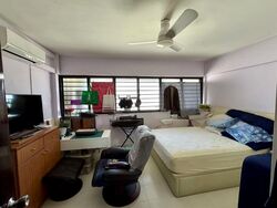 Blk 110 Mcnair Spring (Kallang/Whampoa), HDB Executive #564298791